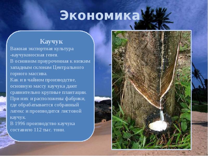Экономика Экономика