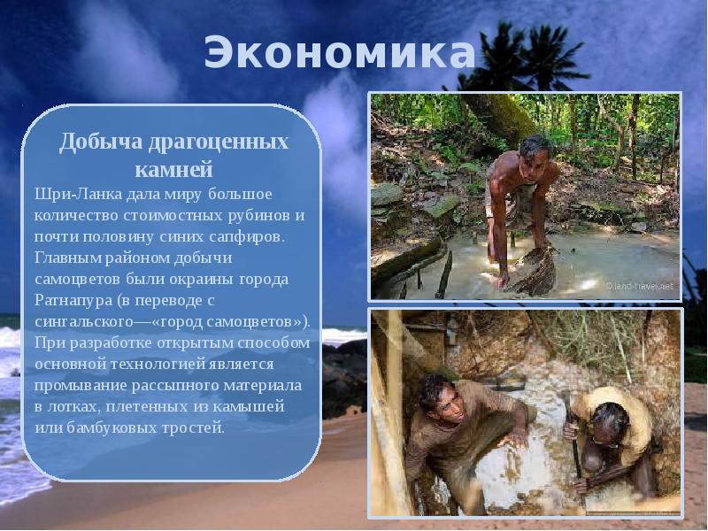 Экономика Экономика