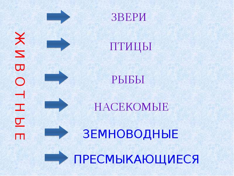 Охрана животных 3. Охрана животных 3 класс окружающий мир презентация. Разнообразие животных 3 класс птицы рыбы. Науки изучающие птиц насекомых рыб. Памятка по охране животных 3 класс по окружающему миру презентация.