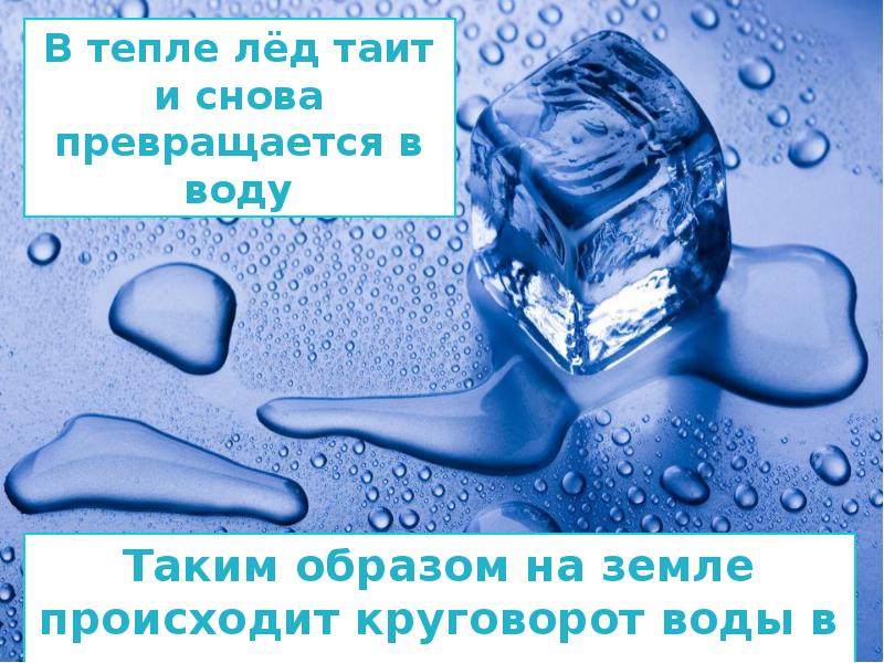 Тепло лед. Льды тают или таят. В тепле лед превращается в воду. Таяние льда и превращение в воду. Тает лед.