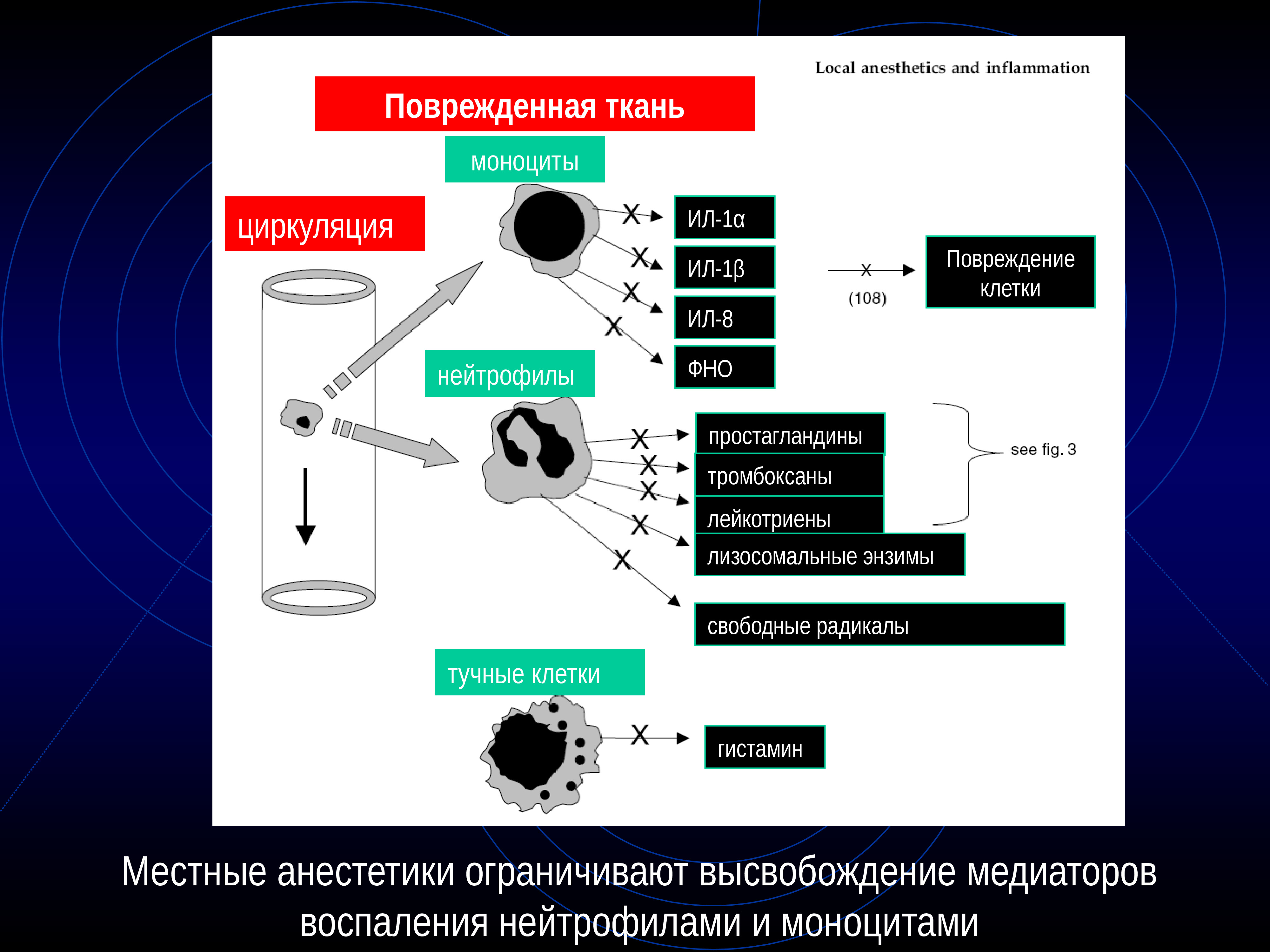 Местные анестетики фармакология презентация