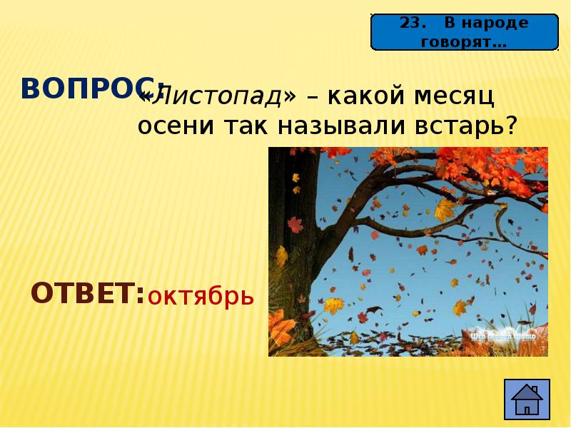 Октябрь какой месяц. Вопросы про листопад. Листопад месяц. Листопад название. Осень какие месяца.