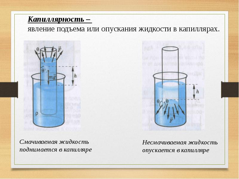 Проект поверхностное натяжение жидкости