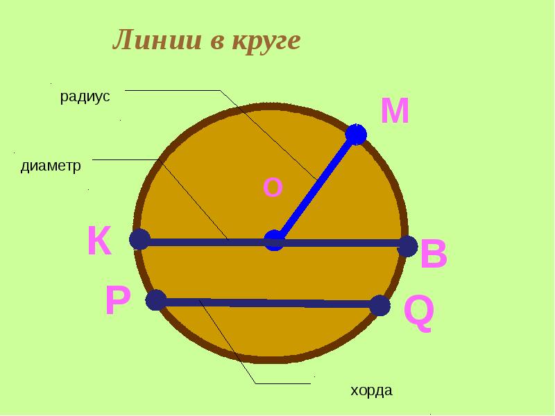 Круг с 16 секторами картинки