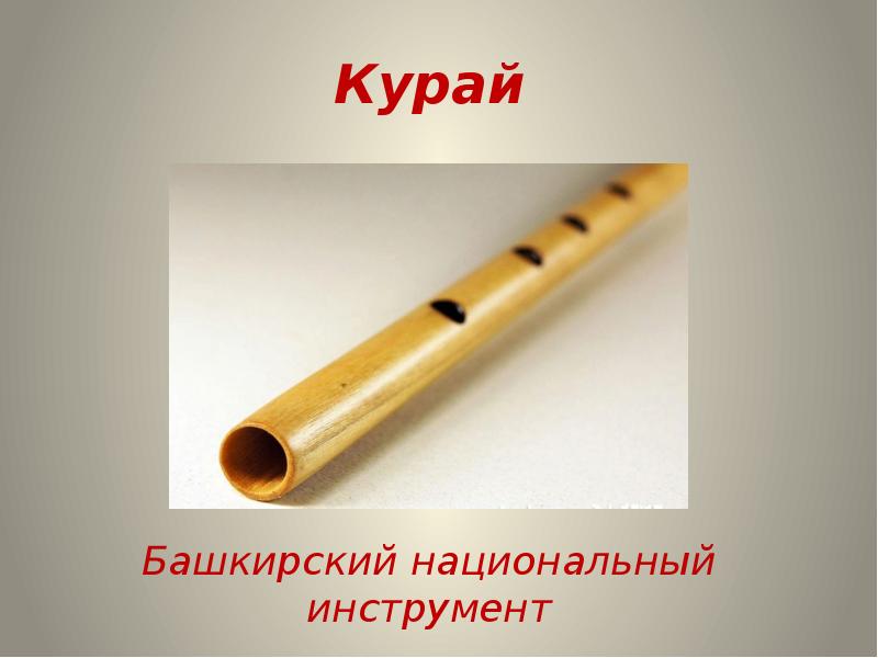 Картинка курай для детей