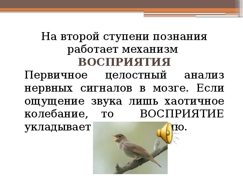 Презентация особенности высшей нервной деятельности человека 8 класс биология