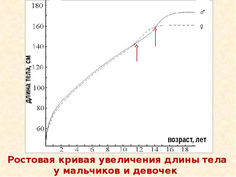 Увеличение длины