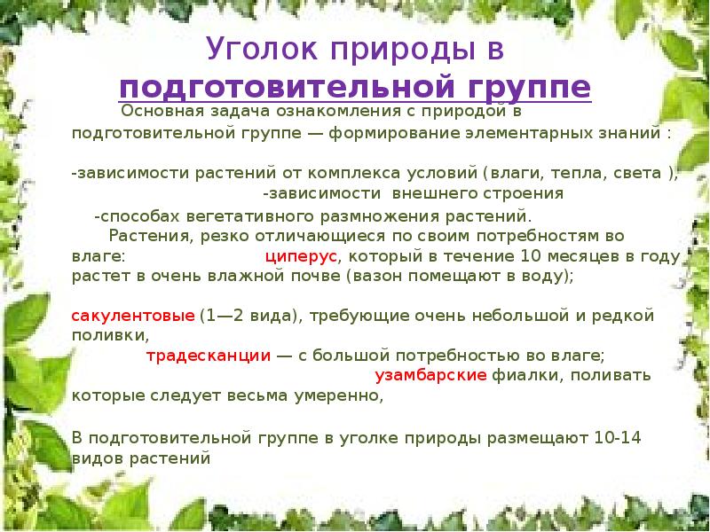 Уголок природы в доу презентация