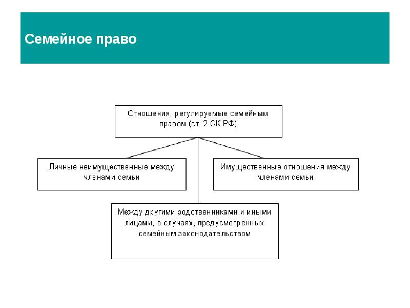 Виды семейных правоотношений схема