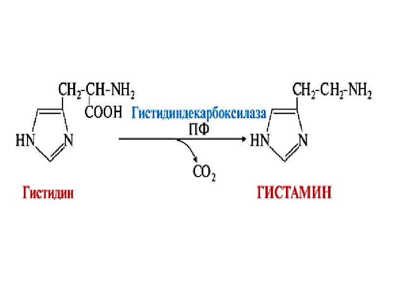 Влияние гистамина на желудочную секрецию. Что такое гистамин в организме. Гистамин гидрохлорид 0. Гистаминный препарат. Гистамин.