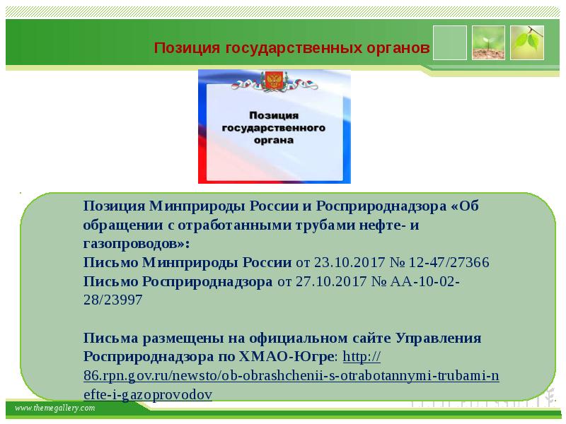 Позиция государственных. Федеральная служба по надзору в сфере природопользования доклад. Федеральная служба по надзору в сфере природопользования задачи.