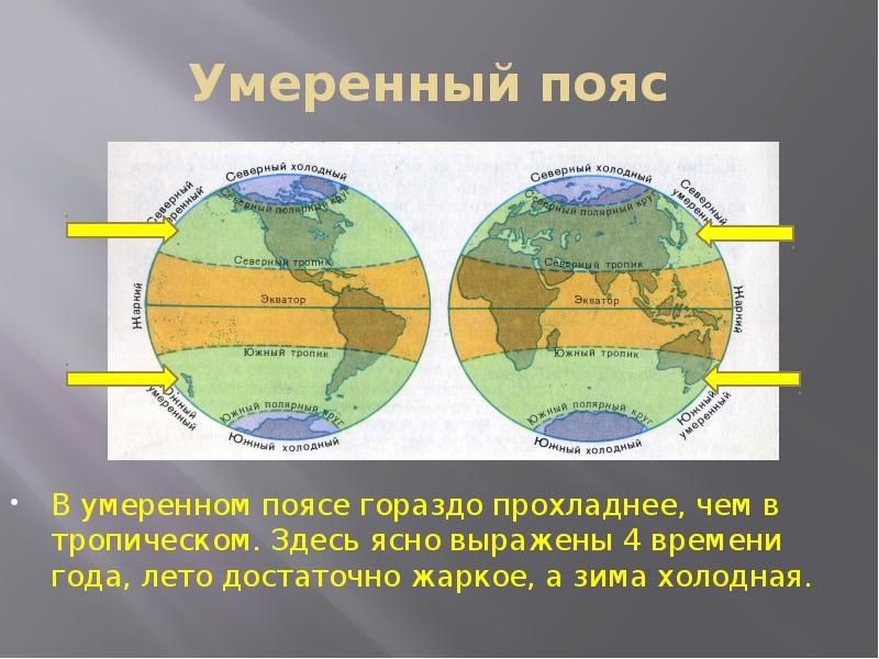 Все разновидности умеренного пояса