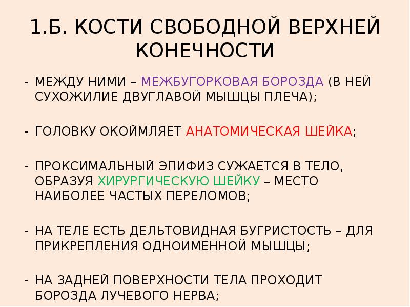 Тест скелет конечностей. Тест скелет конечностей