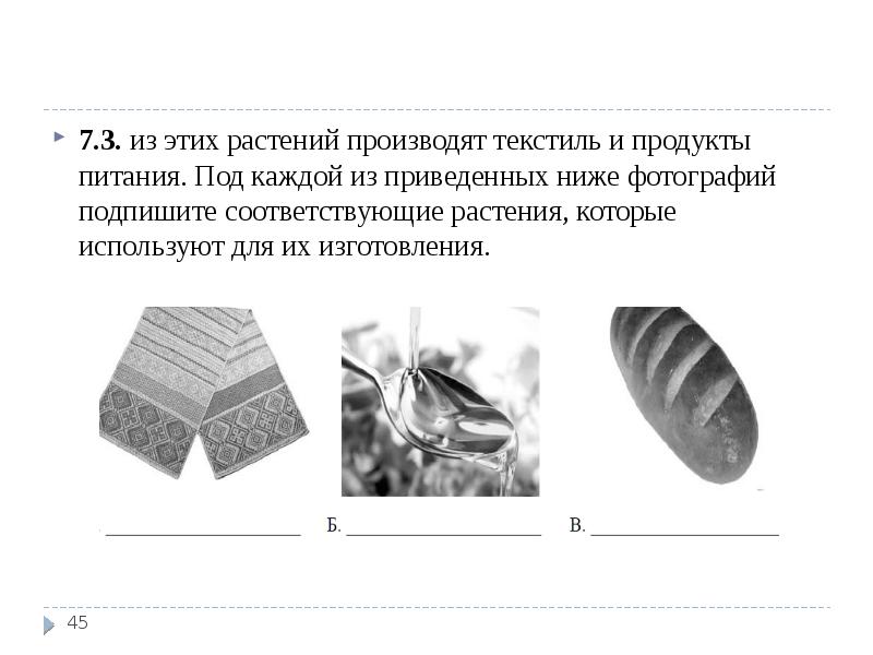 Впр по биологии 5. Перечень тем. Каждая из ильстраций приведённых. Под каждой фотографией. Под каждой фигурой поставь нужную цифру 4 класс.