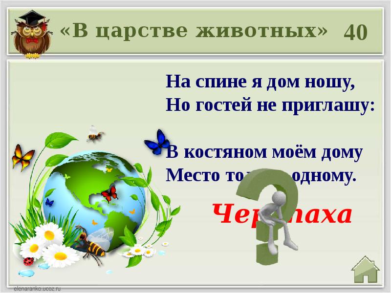 Викторина по экологии для начальной школы презентация