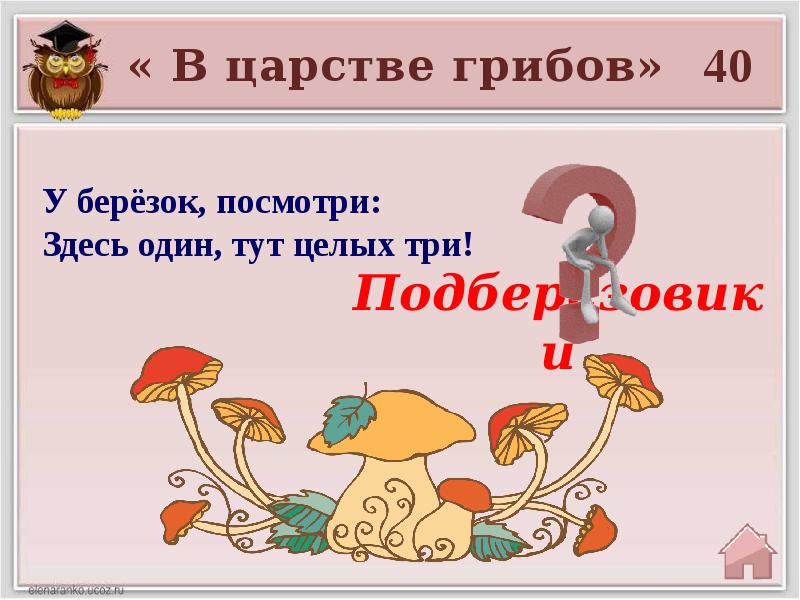 Узнай тут. Царства грибов сказка. Викторина о царстве грибов. В чудном царстве грибов. В чудном царстве грибов рисунок.