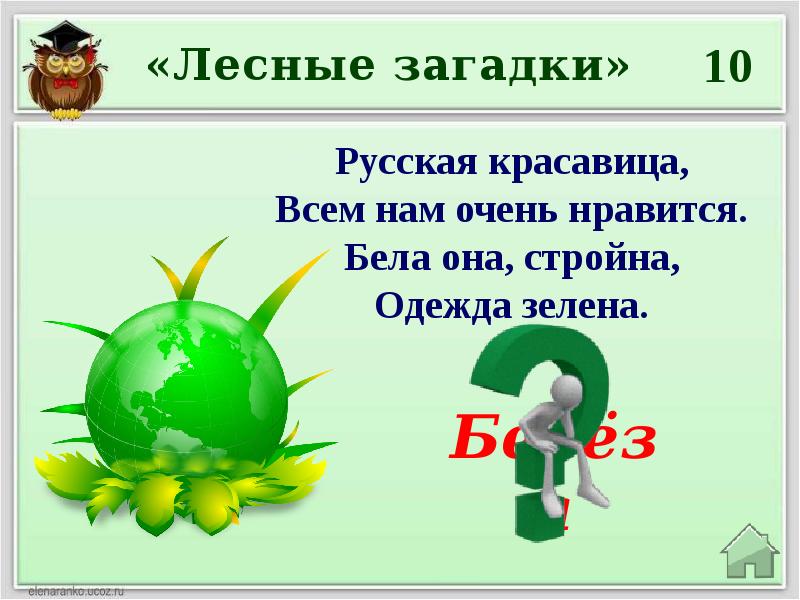 Викторина презентация по экологии для 5 6 классов с ответами