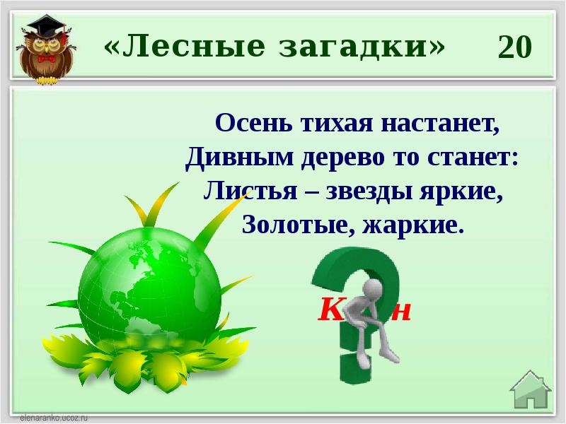 Викторина по экологии презентация 7 класс