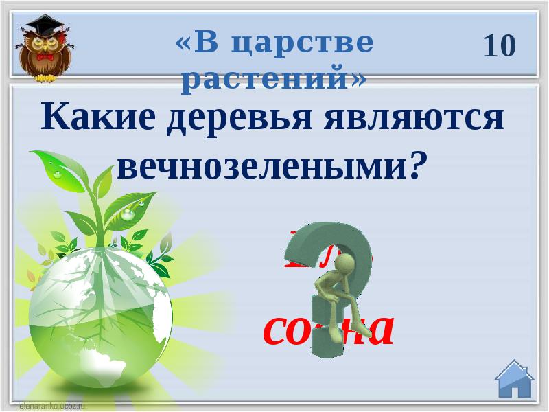 Викторина по экологии для начальной школы презентация