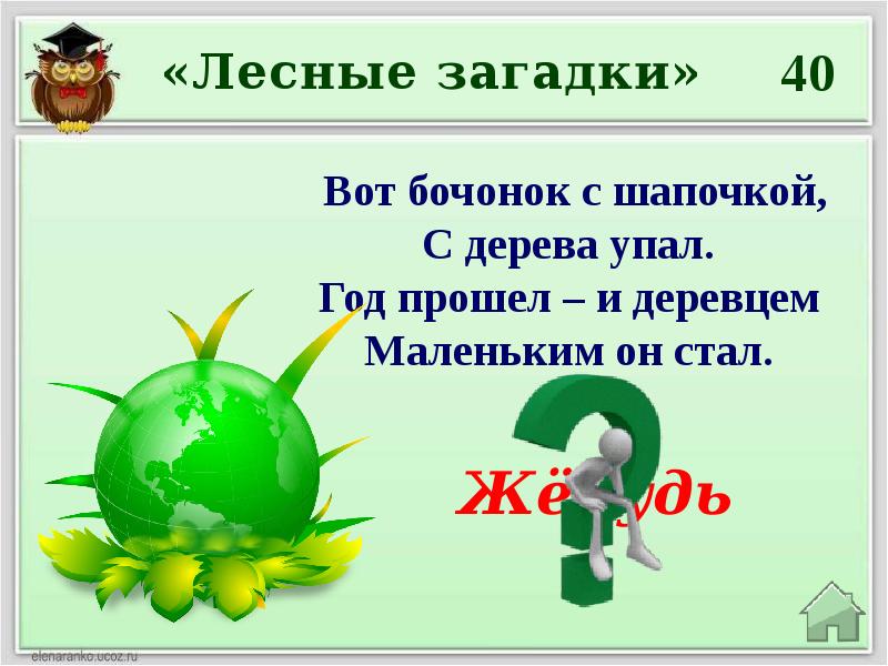 Викторина презентация по экологии для 5 6 классов с ответами