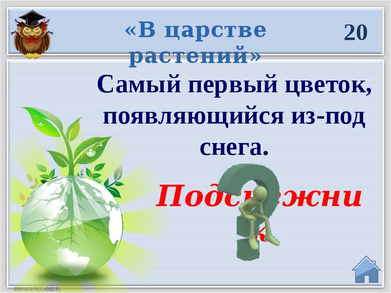 Викторина по экологии для начальной школы презентация