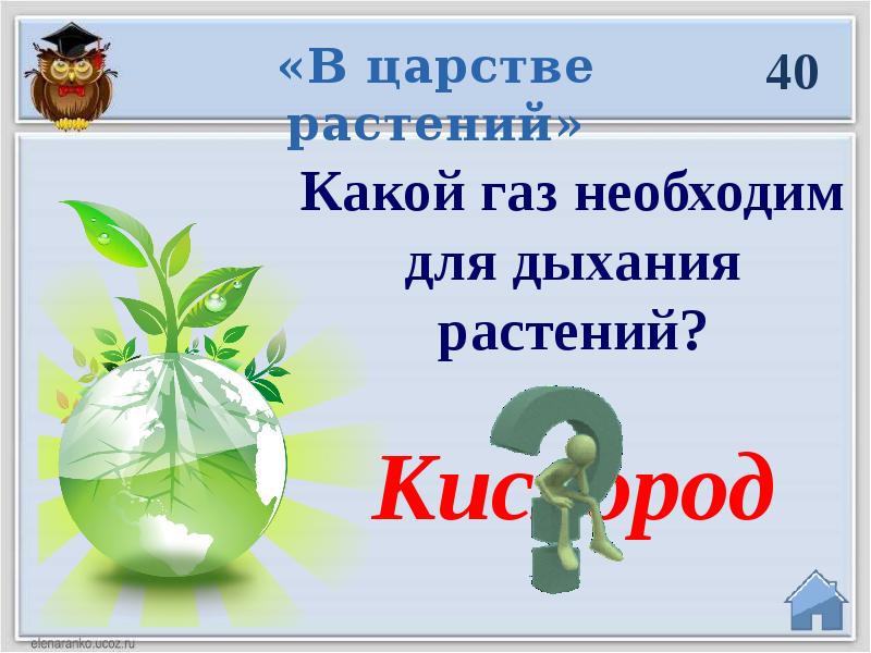 Какой газ растения. Для дыхания растениям необходим. ГАЗ необходимый для дыхания растений. Какой ГАЗ необходим для дыхания. Какой ГАЗ необходим растениям.