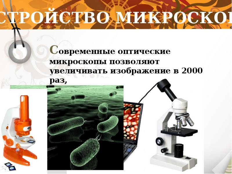 Работа с микроскопом 5 класс