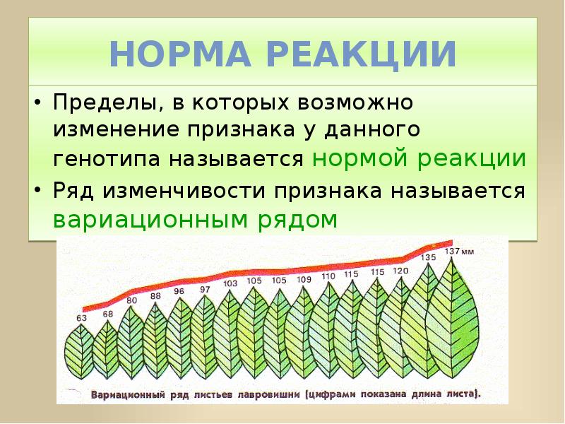 Что такое норма реакции