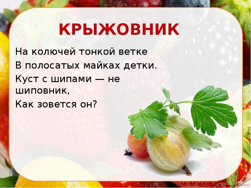 Витамины в крыжовнике