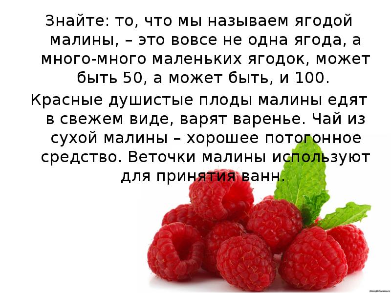 Читать горькие ягодки полностью. Сладку ягоду рвали вместе горьку. Сладка ягода текст. Сколько можно съесть малины в день. Кушать малину.