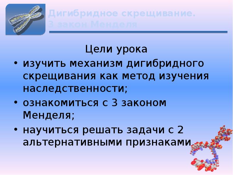 Изучение механизма наследственности 9 класс конспект биология