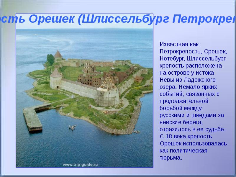 Проект экскурсии по дворцам пригородов петербурга