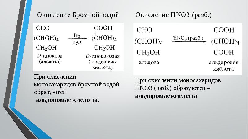 Презентация углеводы 9 класс рудзитис