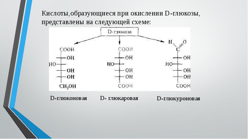 B кислоты. Синтез глюкуроновой кислоты. Окисление д Глюкозы до глюкуроновой кислоты. Глюкуроновая кислота из глюкаровой кислоты. D глюкаровая кислота формула.