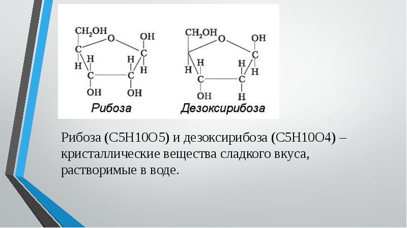 Рибоза и дезоксирибоза схема