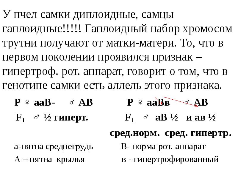 У пчел самки диплоидные, самцы гаплоидные!!!!! Гаплоидный набор хромосом трутни получают У пчел самки диплоидные, самцы гаплоидные!!!!! Гаплоидный набор хромосом трутни получают