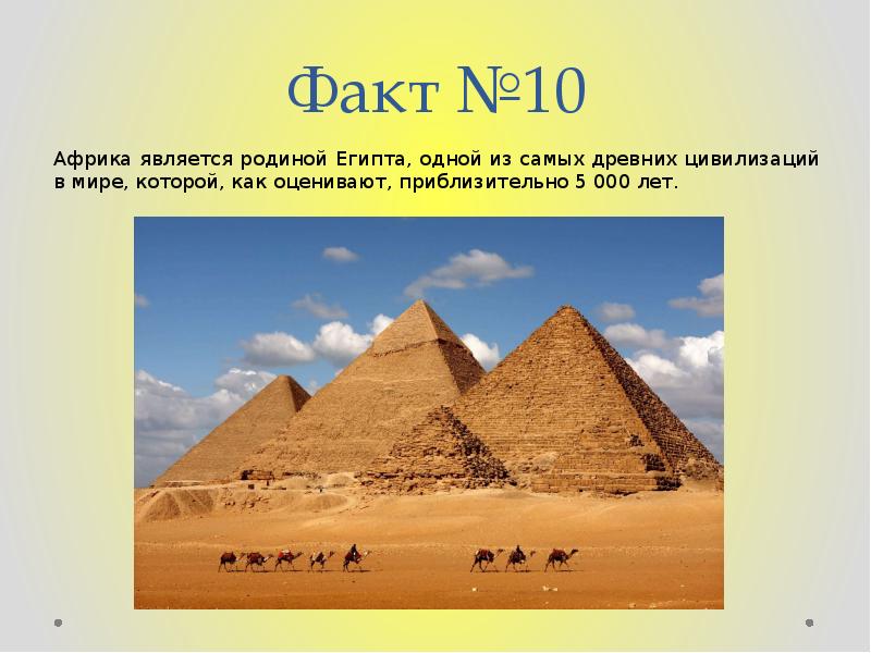 плантации кофе в эфиопии. арбузы в пустыне калахари. африка является родиной. эвкалипт в австралии. африка является родиной.