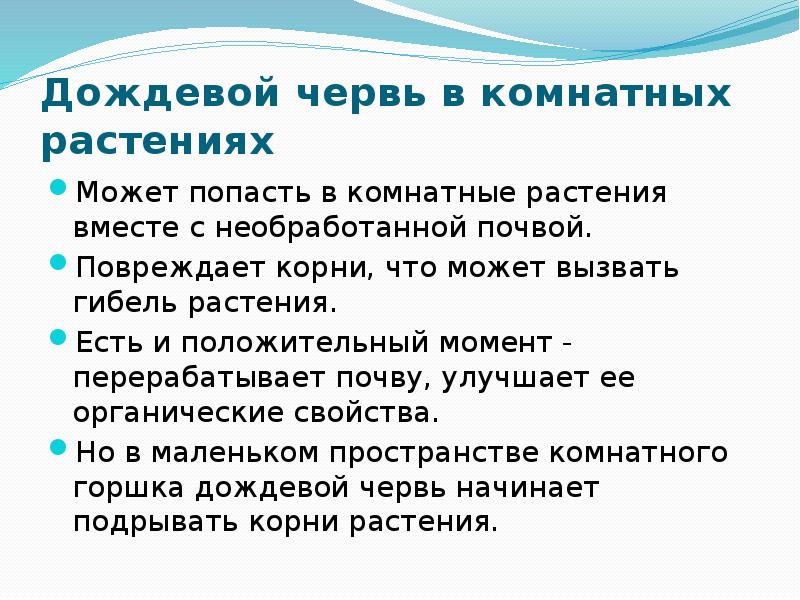 Биологические методы борьбы с вредителями комнатных растений проект