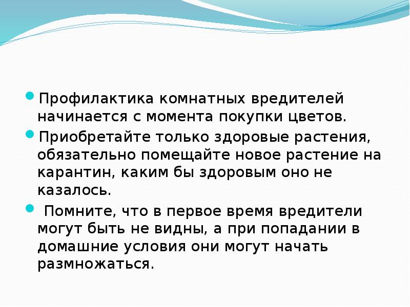 Профилактика комнатных вредителей начинается с момента покупки цветов.  Приобретайте только