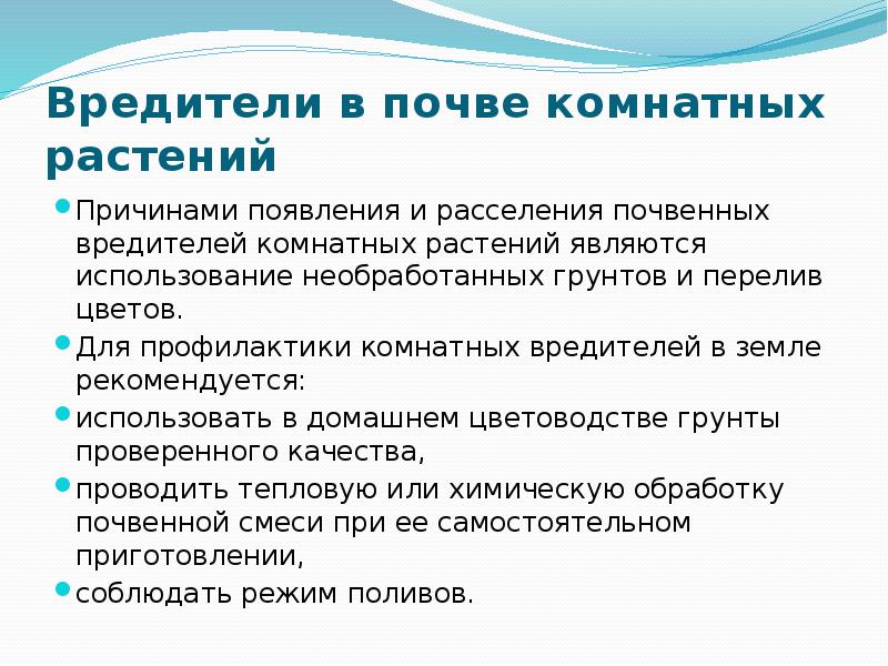 Биологические методы борьбы с вредителями комнатных растений презентация