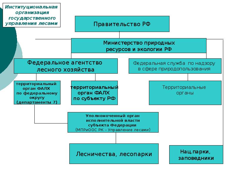 Органы управления и надзора по охране природы презентация