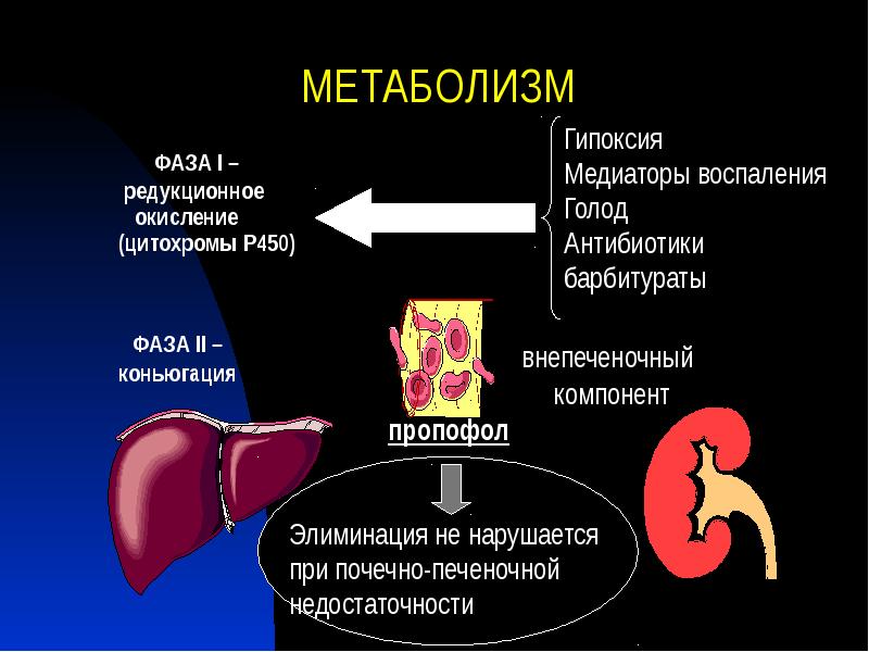 МЕТАБОЛИЗМ МЕТАБОЛИЗМ