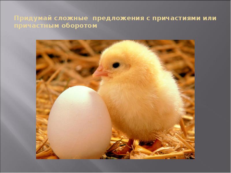 Придумай сложные предложения с причастиями или причастным оборотом