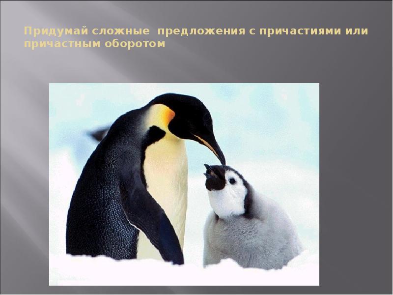 Придумай сложные предложения с причастиями или причастным оборотом