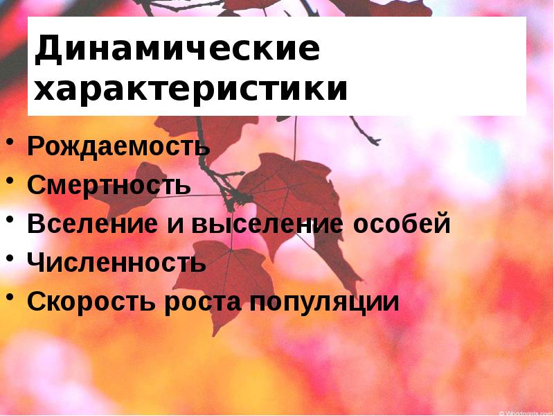 Динамические характеристики
Рождаемость
Смертность
Вселение и выселение особей
Численность
Скорость роста Динамические характеристики
Рождаемость
Смертность
Вселение и выселение особей
Численность
Скорость роста