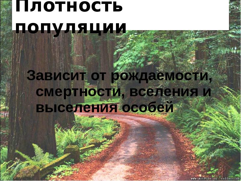 Плотность популяции
Зависит от рождаемости, смертности, вселения и выселения особей Плотность популяции
Зависит от рождаемости, смертности, вселения и выселения особей