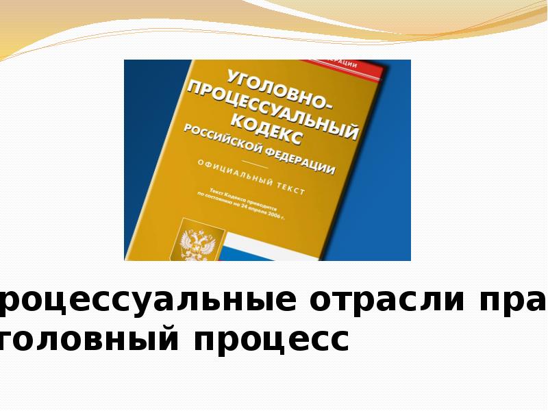 Презентация на тему процессуальные отрасли права 10 класс