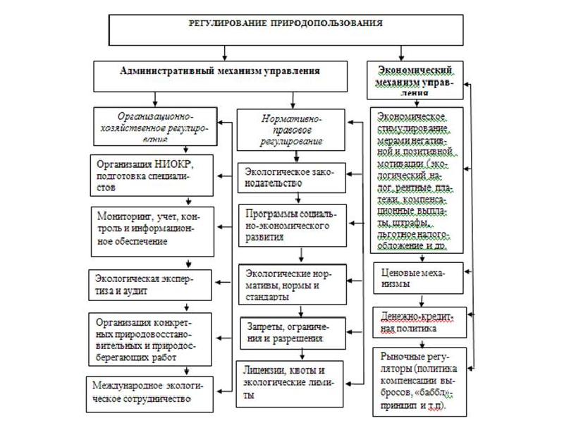 Управление природными ресурсами в муниципальных образованиях презентация