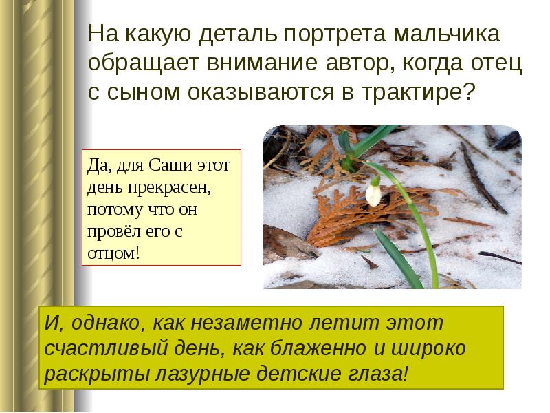 Бунин подснежник слушать. Бунин и. "Подснежник". Рассказ Подснежник Бунин. Подснежник Бунин 5 класс. Стихотворение Подснежник Бунин.