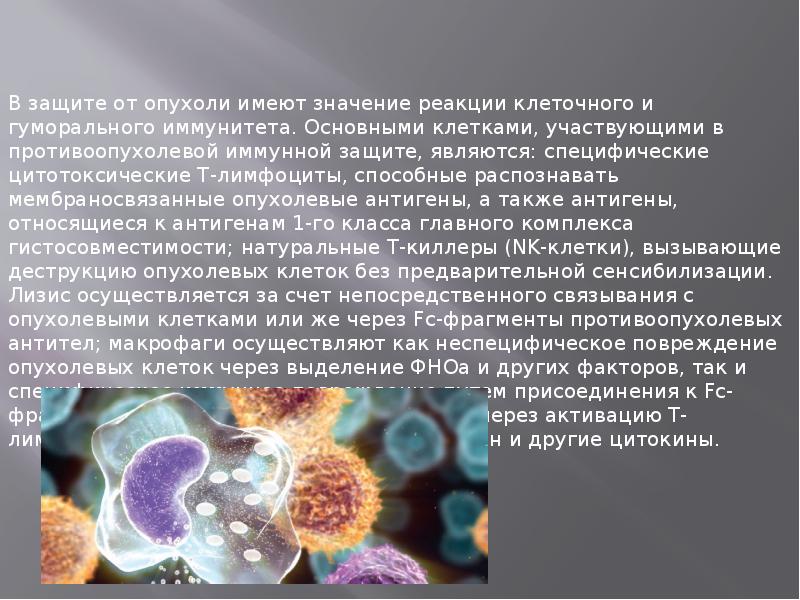 Съедобные вакцины презентация